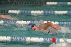 Swimming vs Babson  Wheaton College Swimming vs Babson College. - Photo By: KEITH NORDSTROM : Wheaton, Swimming, Babson